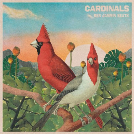 Cardinals ft. Illuzionary | Boomplay Music