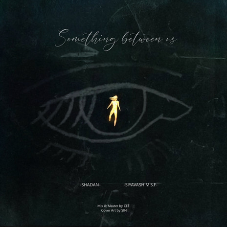 Something Between Us ft. Siyavash M.S.F & Ceé | Boomplay Music