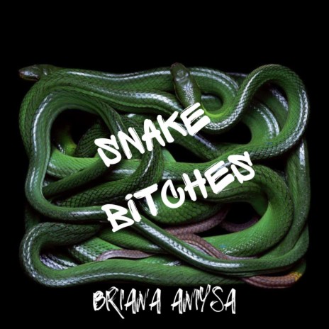 snake bitches | Boomplay Music