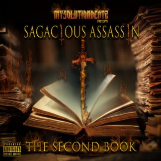 Sagacious Assasins (The Second Book)