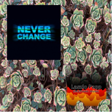 Never Changes | Boomplay Music