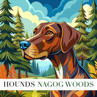 Hound Song