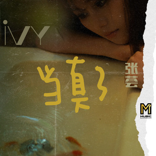 当真了 lyrics | Boomplay Music