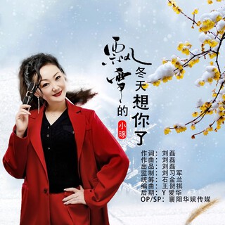 飘雪的冬天想你了（DJ版）