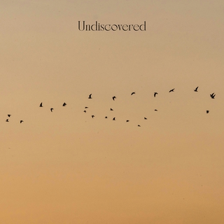 Undiscovered