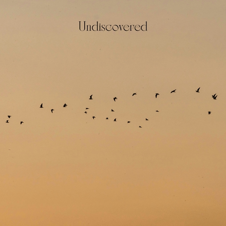 Undiscovered | Boomplay Music