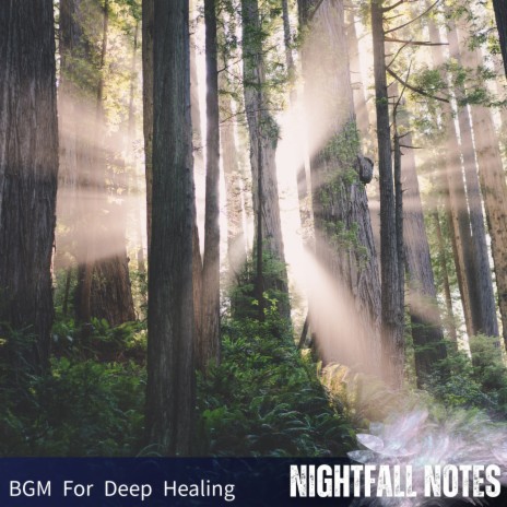 Gentle and Calm | Boomplay Music