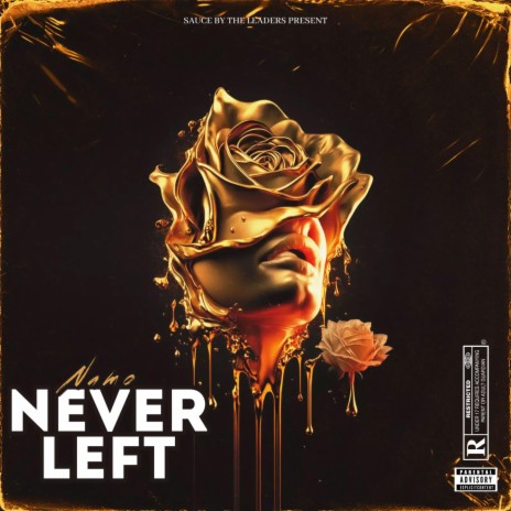 NEVER LEFT | Boomplay Music