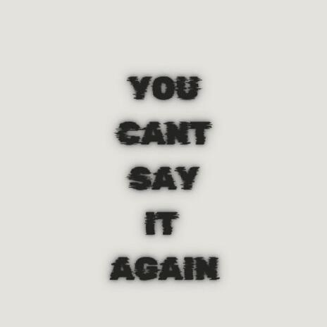 YOU CANT SAY IT AGAIN | Boomplay Music