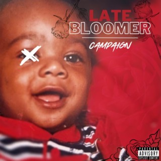 Late Bloomer