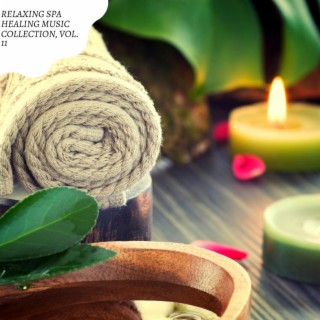 Relaxing Spa Healing Music Collection, Vol. 11