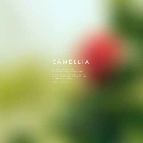 Camellia | Boomplay Music