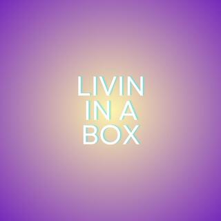 Livin in a Box