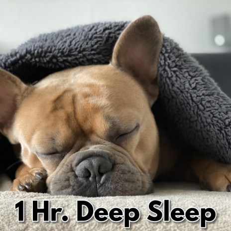 Deep Sleep Music 1 Hour | Boomplay Music