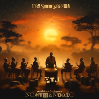 Nomthandazo : An African Orchestra Pt. 1