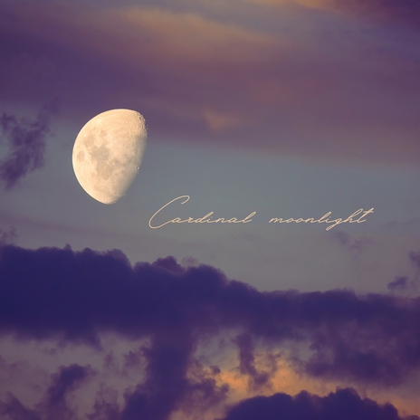 Cardinal Moonlight | Boomplay Music