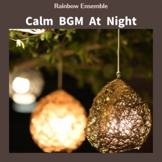 Calm Bgm at Night