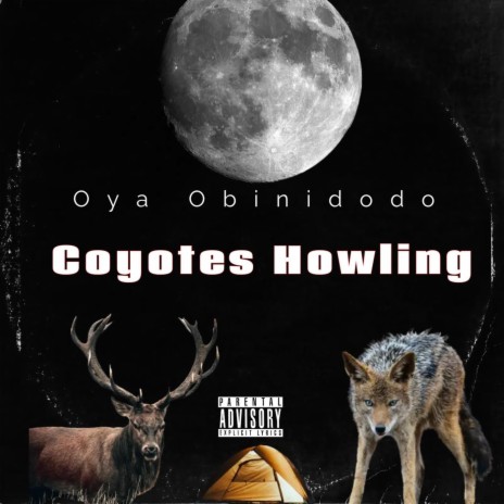 Coyotes Howling | Boomplay Music