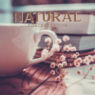 Natural Concentration: Nature Sounds for Intense Studying Sessions