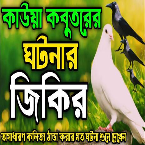 কাউয়া কবুতরের ঘটনার জিকির ll অসাধারণ কলিজা ঠান্ডা করার মত ঘটনা শুনে দেখেন ll New#jikir. | Boomplay Music