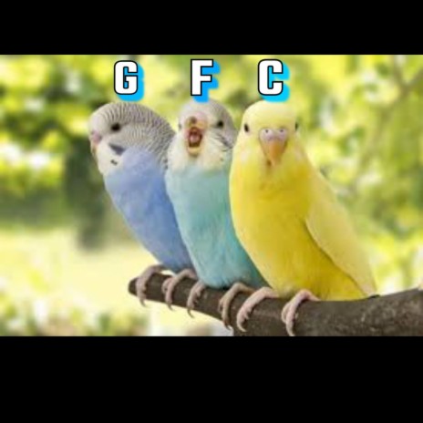 Bird ft. GFC Slim