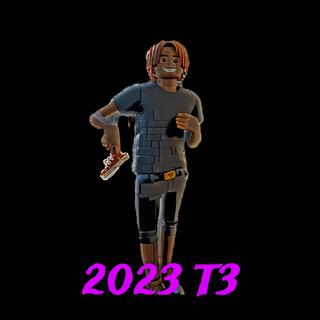 2023 T3