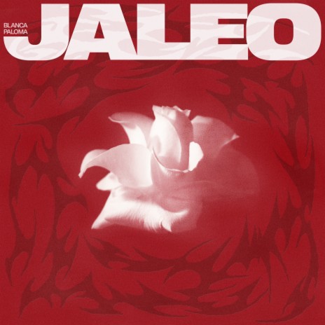 Jaleo | Boomplay Music