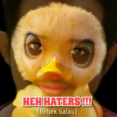 Heh Haters !!! (Bebek Galau) | Boomplay Music