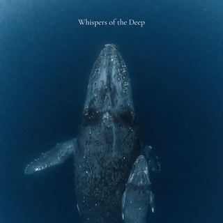 Whispers of the Deep