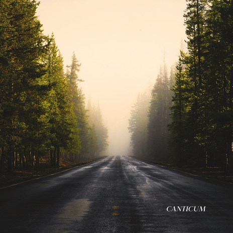 Canticum | Boomplay Music