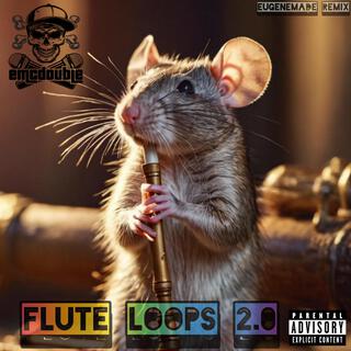 Flute Loops 2.0 (EugeneMade Remix) lyrics | Boomplay Music