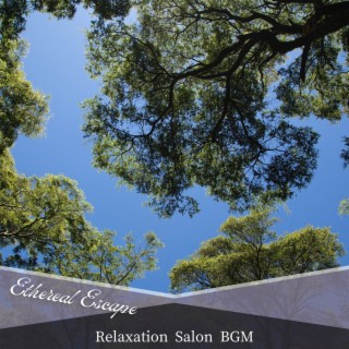 Relaxation Salon BGM