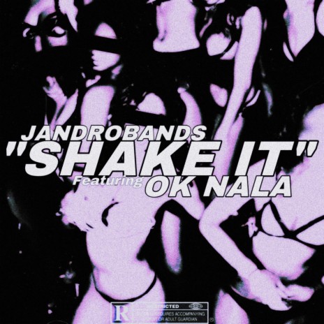 Shake It ft. OK Nala | Boomplay Music