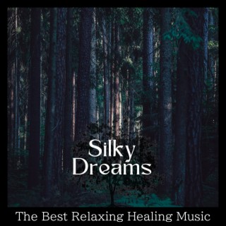 The Best Relaxing Healing Music