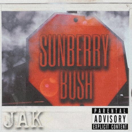 Sunberry Bush | Boomplay Music