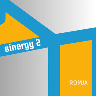 Sinergy 2