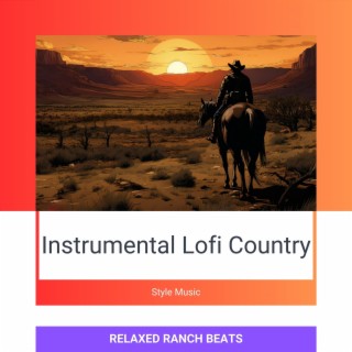 Instrumental Lofi Country Style Music