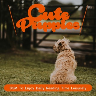 Bgm to Enjoy Daily Reading Time Leisurely