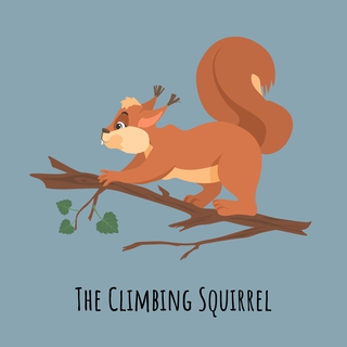 The Climbing Squirrel