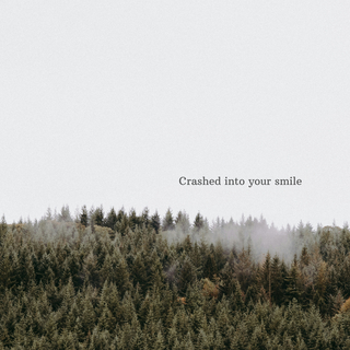 Crashed Into Your Smile