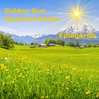 Golden Sun Imperial Grass