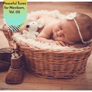 Peaceful Tunes for Newborn, Vol. 02