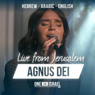 Agnus Dei | Hebrew, Arabic & English