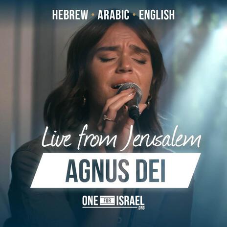 Agnus Dei | Hebrew, Arabic & English ft. Nizar Francis, Shilo Ben Hod, Rebekah Davis & SOLU Israel | Boomplay Music