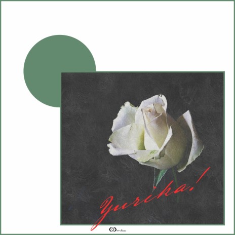 White Roses | Boomplay Music