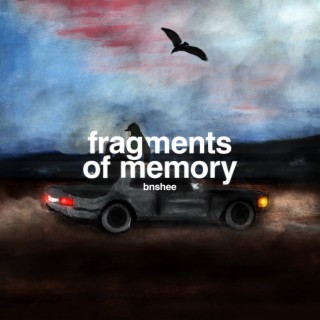 Fragments of Memory