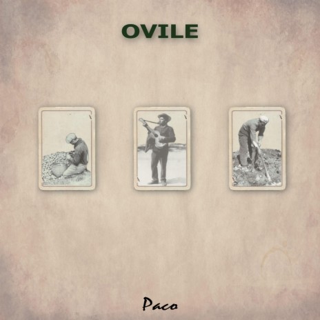 Ovile | Boomplay Music