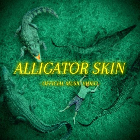 Alligator Skin | Boomplay Music