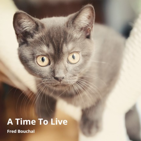 A Time to Live | Boomplay Music