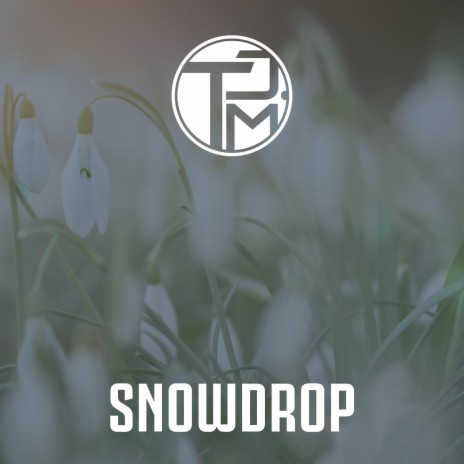 Snowdrop